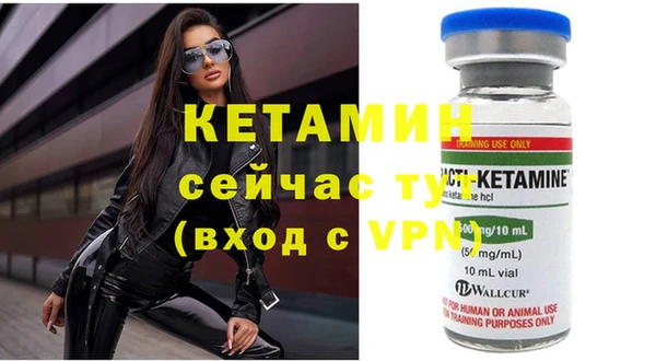 прущие грибы Вязники