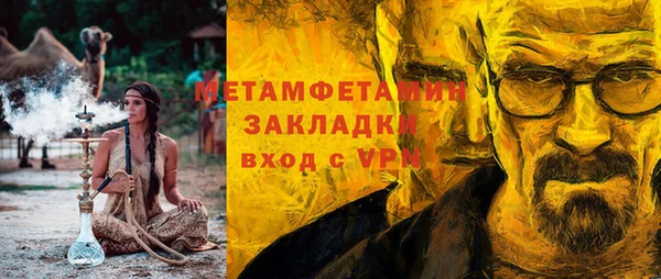 прущие грибы Вязники