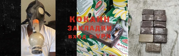 прущие грибы Вязники